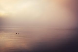 Tutti meritiamo di sognare